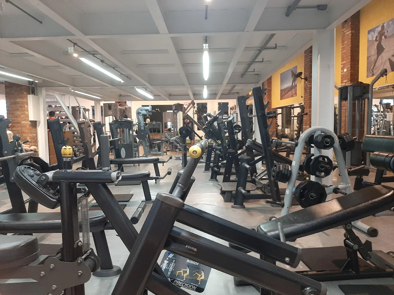 Musculação