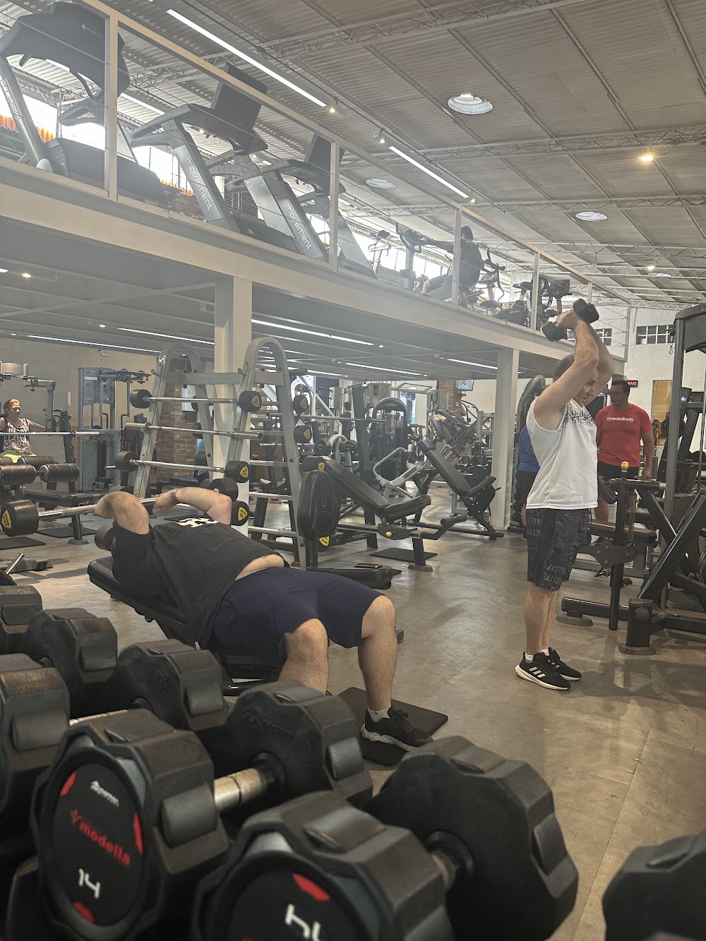 MUSCULAÇÃO
